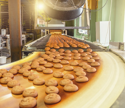 Food Processing